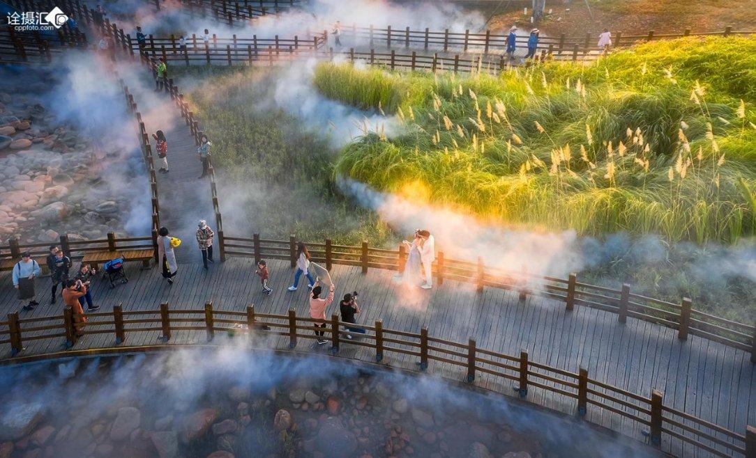 虫虫助手下载